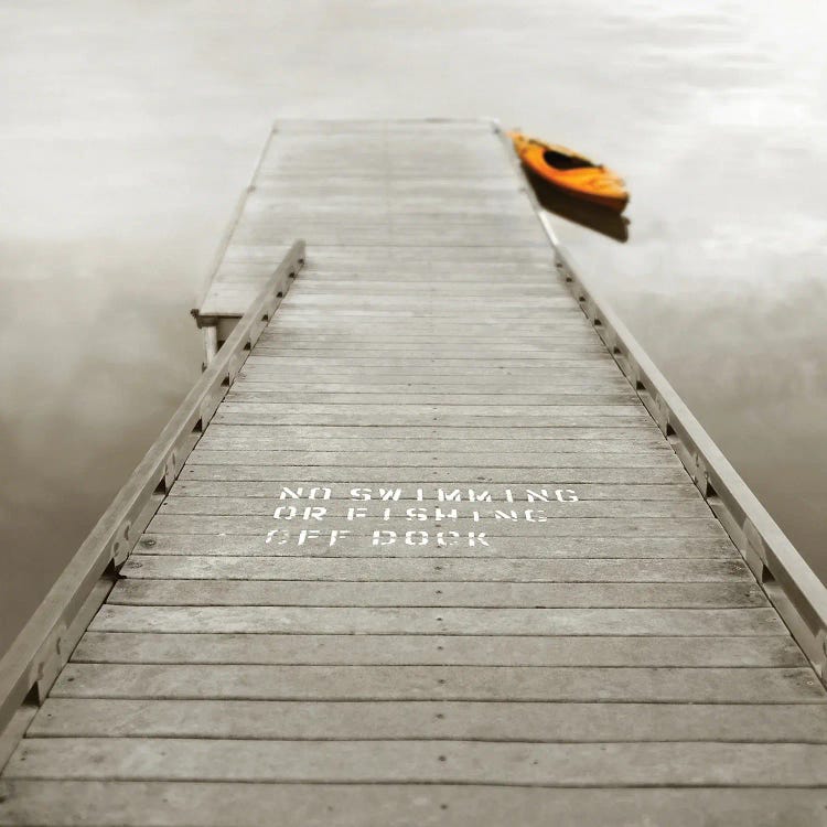 No Swimming by Nicholas Bell wall art