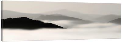 Mountain Fog II Canvas Art Print