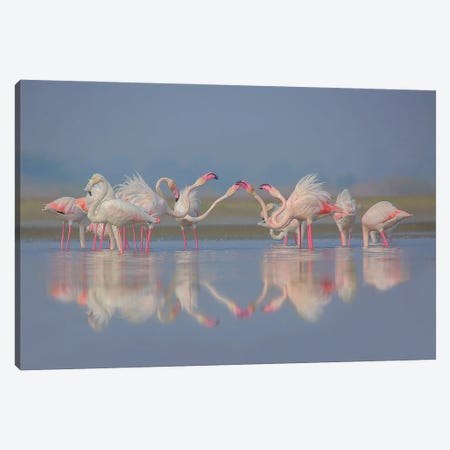 Flamingo Festival Blue Canvas Print #NSN1} by Nitin Sonawane Canvas Print