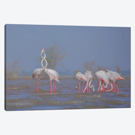 Flamingo Canvas Print #NSN21} by Nitin Sonawane Art Print