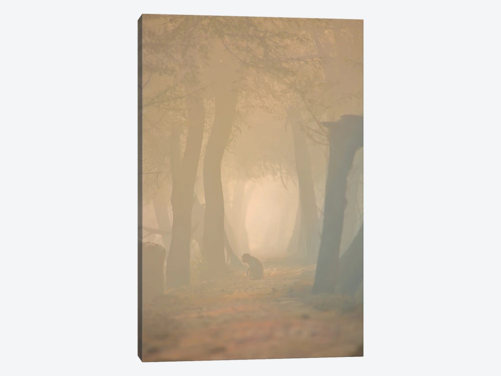 Macaque In Mist by Nitin Sonawane 1-piece Canvas Wall Art
