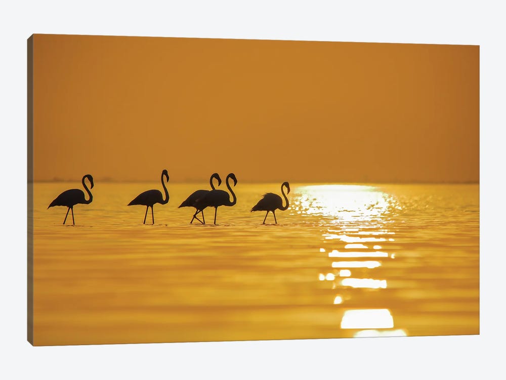 Flamingo In Sunset by Nitin Sonawane 1-piece Canvas Artwork