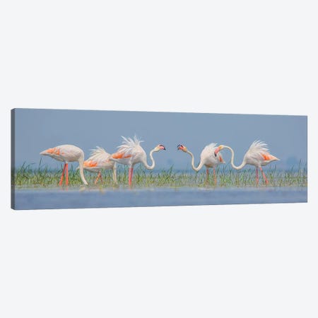 Flamingo Flock In Sunset Canvas Print #NSN84} by Nitin Sonawane Canvas Artwork
