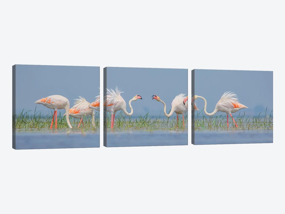 Flamingo Flock In Sunset by Nitin Sonawane 3-piece Canvas Art