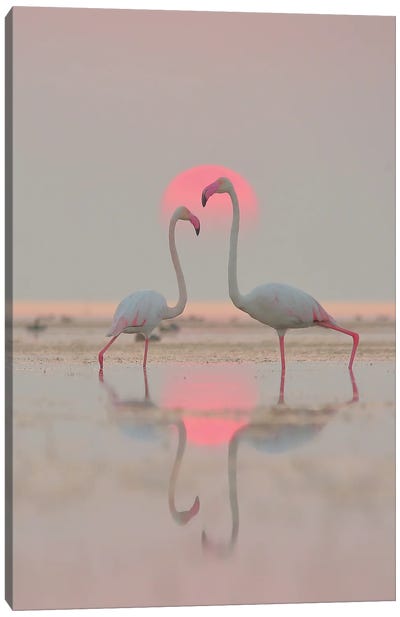 Love Forever Ever Canvas Art Print - Flamingo Art