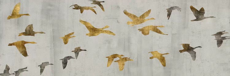 In Flight by Nick Spencer wall art