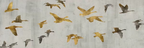 TopArt: In Flight by Nick Spencer