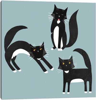 Black And White Cats Canvas Art Print - Black Cat Art