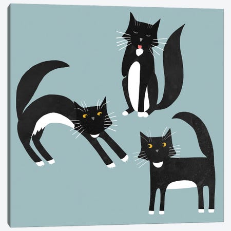 Black And White Cats Canvas Print #NSQ100} by Nic Squirrell Canvas Wall Art