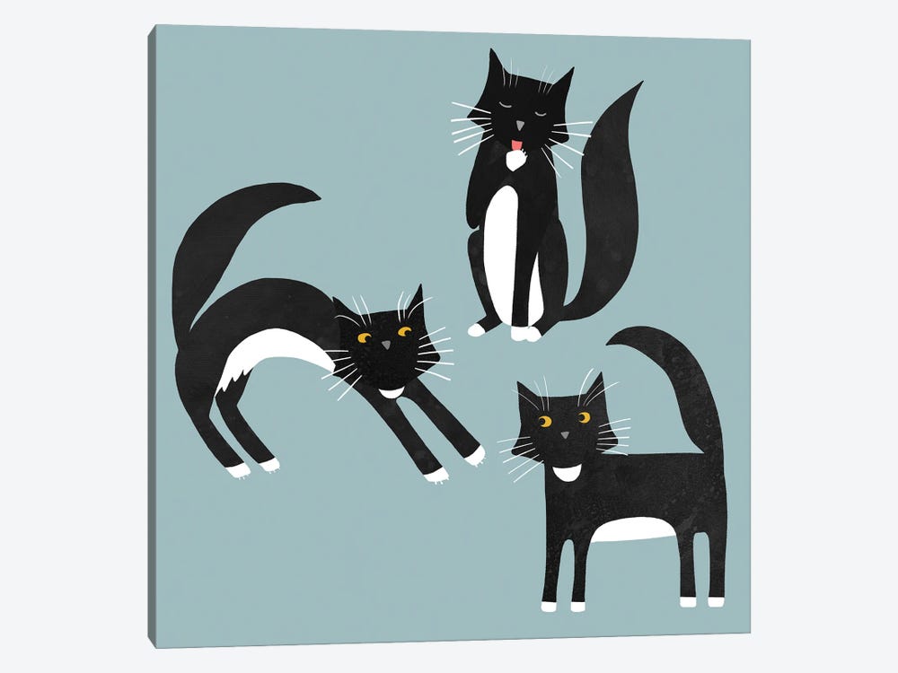 Black And White Cats by Nic Squirrell 1-piece Canvas Wall Art