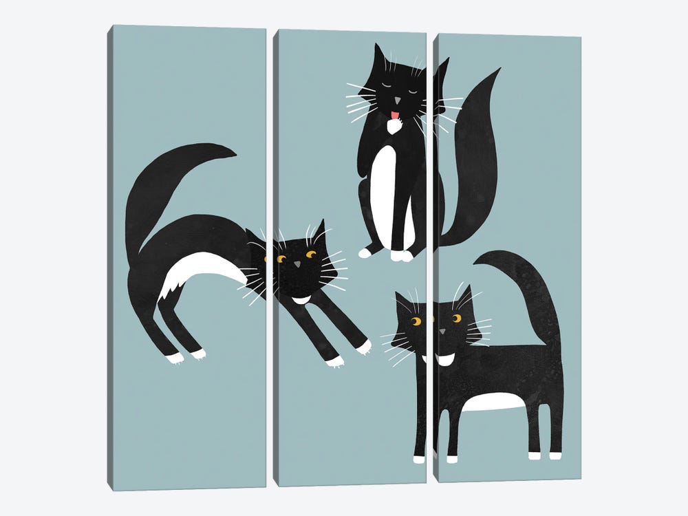 Black And White Cats by Nic Squirrell 3-piece Canvas Art