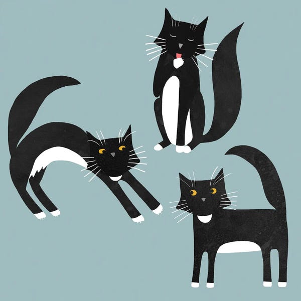 Nic Squirrell: Black And White Cats by Nic Squirrell