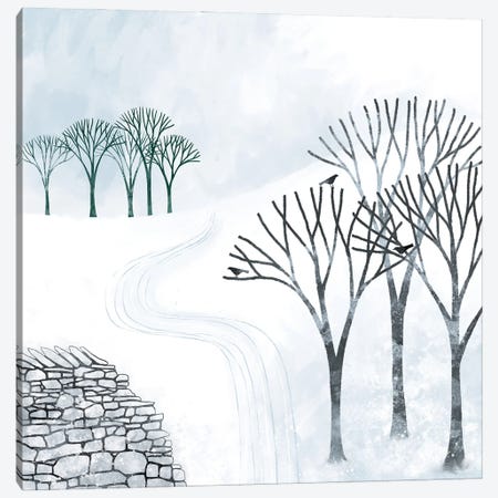 More Snow To Come Canvas Print #NSQ110} by Nic Squirrell Art Print