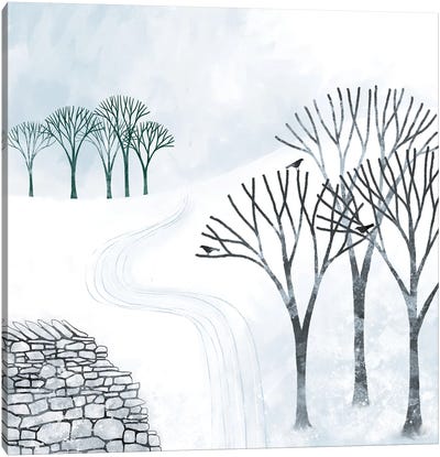 More Snow To Come Canvas Art Print - Nic Squirrell