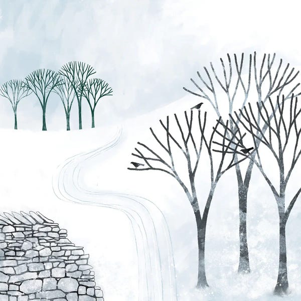 Rustic Winter: More Snow To Come by Nic Squirrell