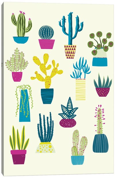 Cactus Garden Canvas Art Print - Nic Squirrell