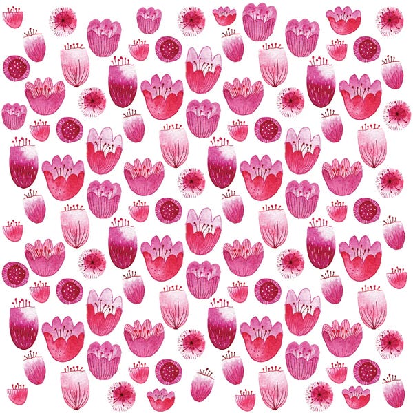 Nic Squirrell: Fancy Pink Blossom by Nic Squirrell