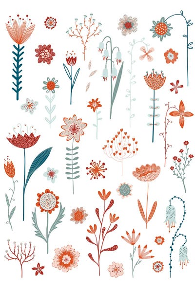 Flowers Of The Summer