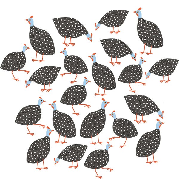 Nic Squirrell: Guinea Hens by Nic Squirrell