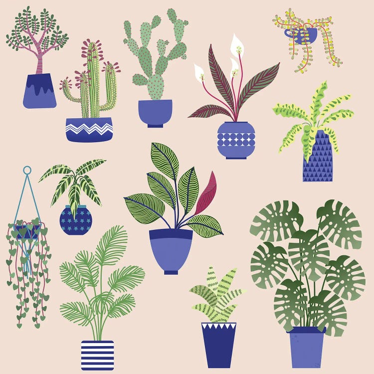 Houseplants