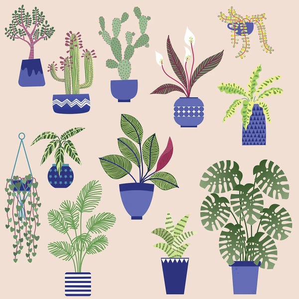 Monsteras: Houseplants by Nic Squirrell