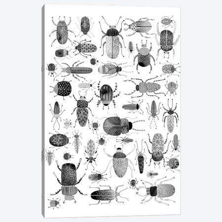 Ink Beetles Canvas Print #NSQ162} by Nic Squirrell Canvas Artwork