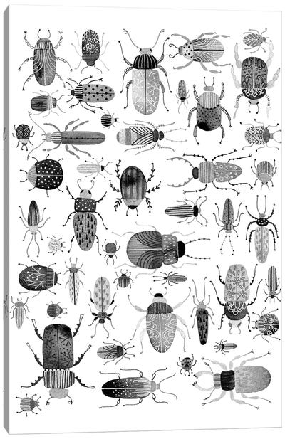 Ink Beetles Canvas Art Print - Beetle Art