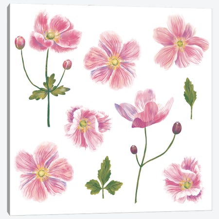 Japanese Anemones Canvas Print #NSQ166} by Nic Squirrell Canvas Print