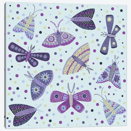 Moths Canvas Print #NSQ183} by Nic Squirrell Canvas Wall Art
