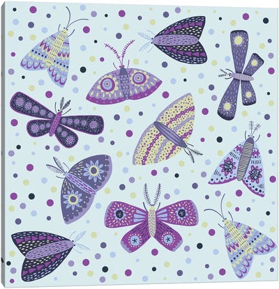 Moths Canvas Art Print - Nic Squirrell