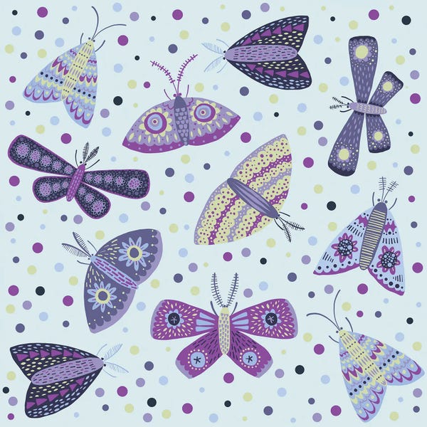 Moths: Moths by Nic Squirrell