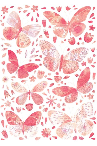 Coral Butterflies by Nic Squirrell canvas print