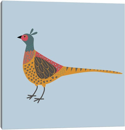 Pheasant Canvas Art Print - Nic Squirrell