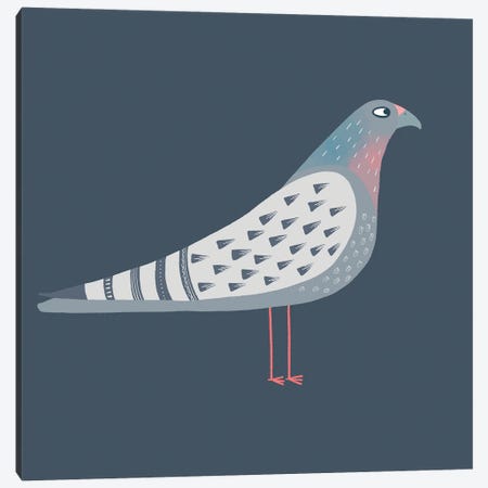 Pigeon Canvas Print #NSQ209} by Nic Squirrell Canvas Print