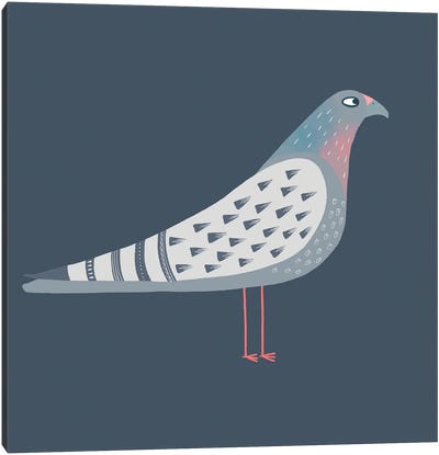 Pigeon Canvas Art Print - Nic Squirrell