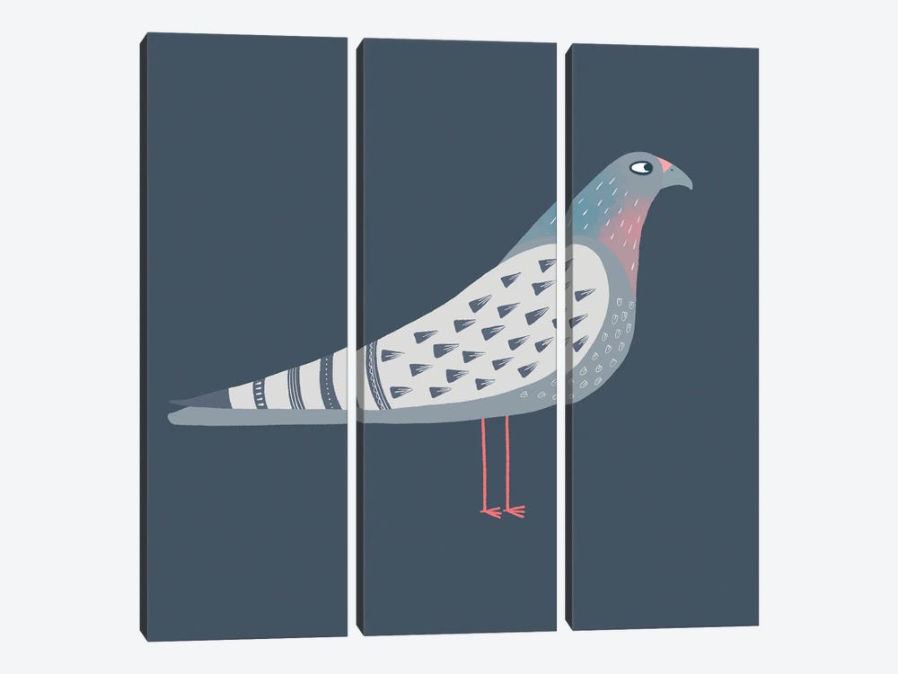 Pigeon by Nic Squirrell 3-piece Canvas Print