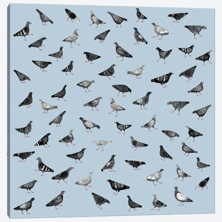 Pigeons Marching About Randomly Canvas Print #NSQ210} by Nic Squirrell Canvas Art