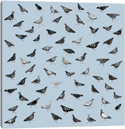 Pigeons Marching About Randomly Canvas Art Print - Nic Squirrell