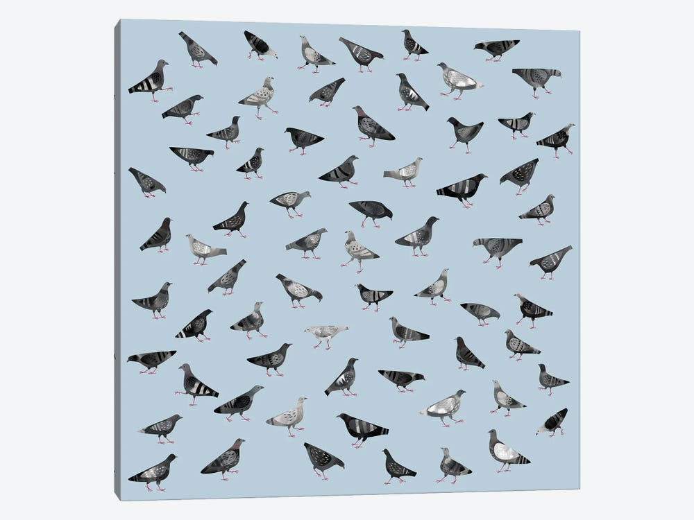 Pigeons Marching About Randomly by Nic Squirrell 1-piece Canvas Print