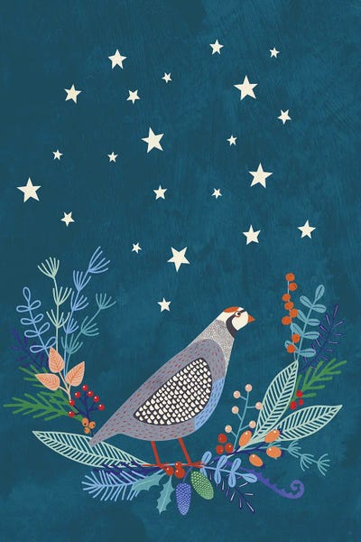 Partridge At Night by Nic Squirrell framed canvas print