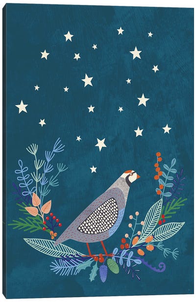 Partridge At Night Canvas Art Print - Nic Squirrell