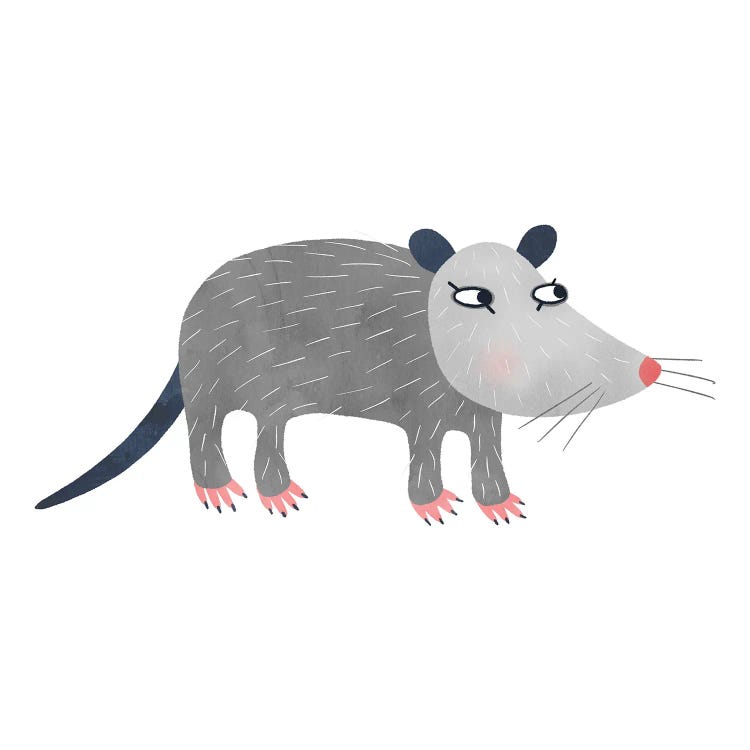 Possum by Nic Squirrell wall art