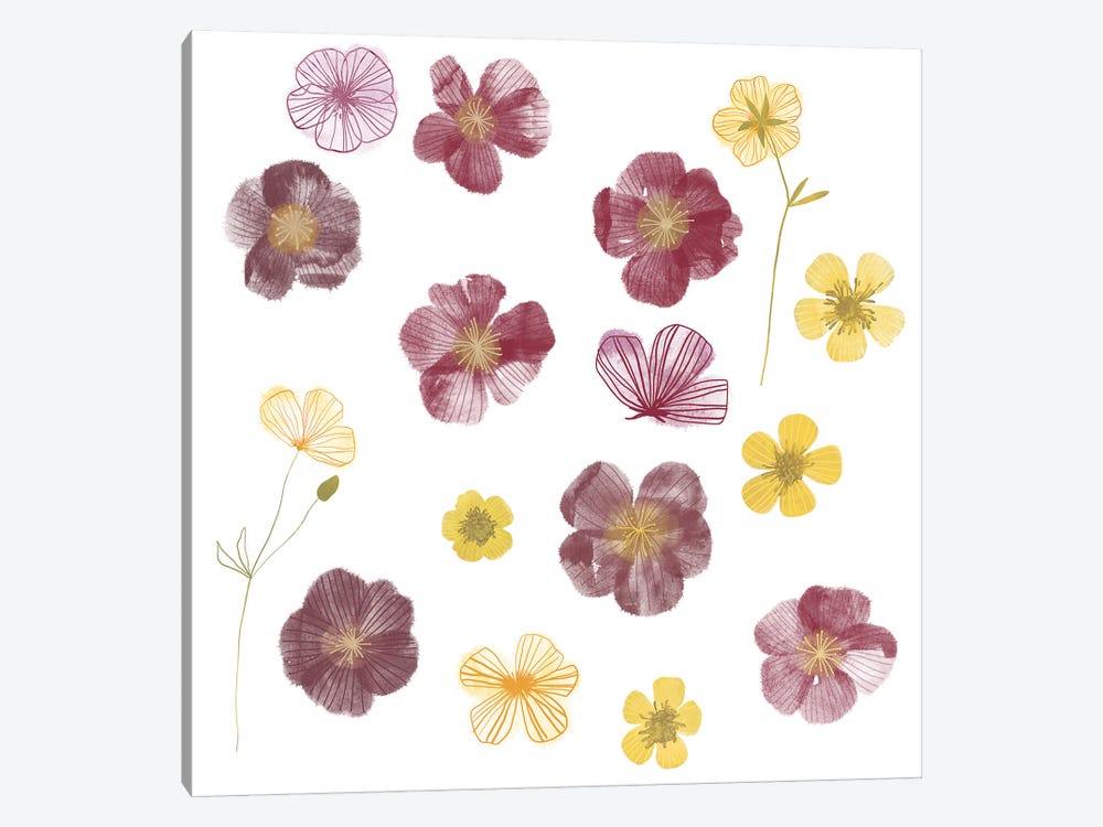 Pressed Flowers by Nic Squirrell 1-piece Canvas Artwork