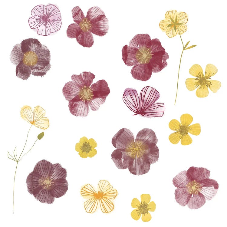 Pressed Flowers by Nic Squirrell wall art
