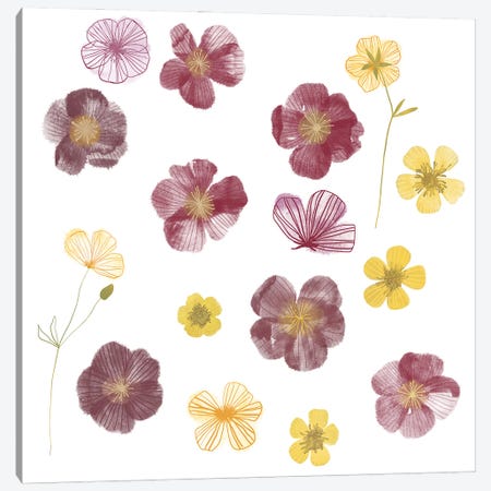 Pressed Flowers Canvas Print #NSQ220} by Nic Squirrell Art Print