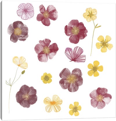 Pressed Flowers Canvas Art Print - Nic Squirrell