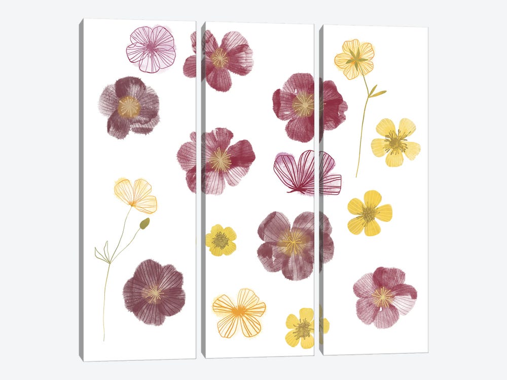 Pressed Flowers by Nic Squirrell 3-piece Canvas Art