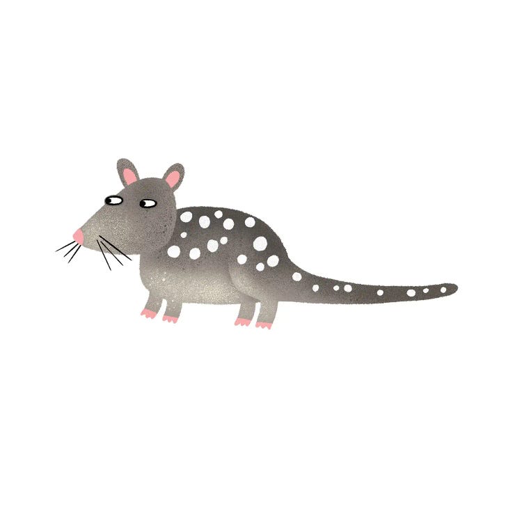 Quoll