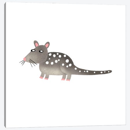 Quoll Canvas Print #NSQ221} by Nic Squirrell Canvas Print