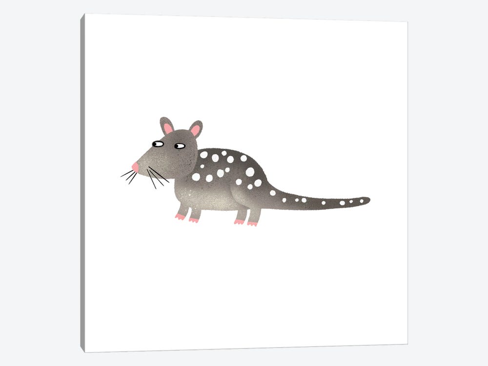 Quoll by Nic Squirrell 1-piece Canvas Print